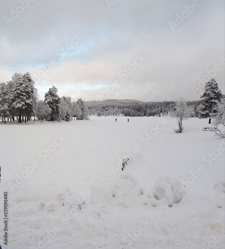 People in a beautiful winter landscape - Oslo 