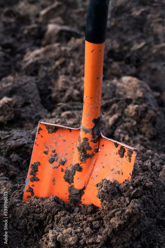 Spade in ground in garden. Orange shovel