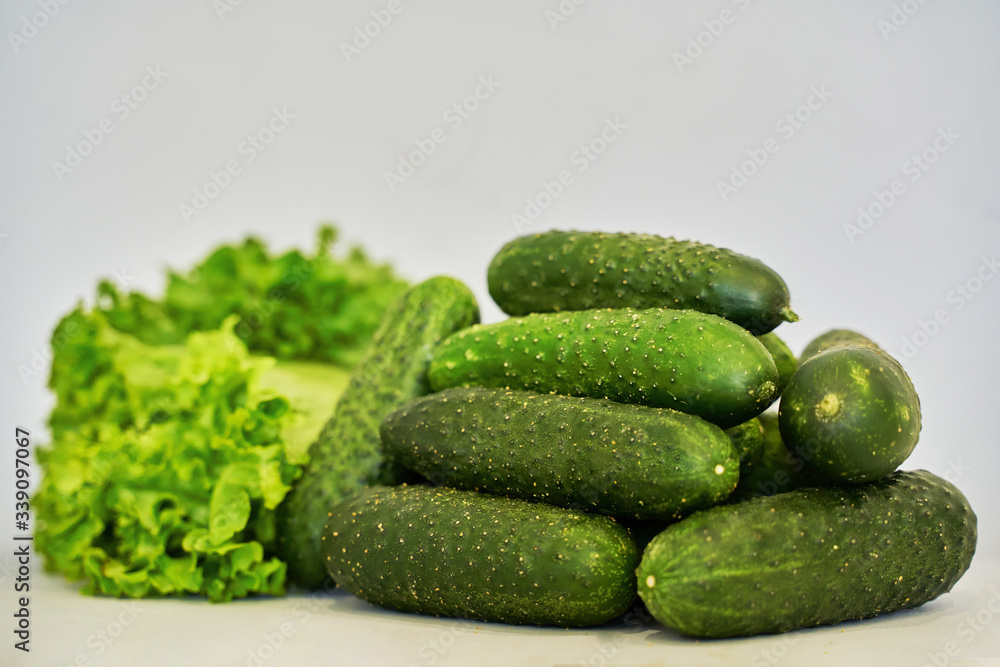 juicy cucumbers with salad on a gray background juicy cucumbers with salad on a gray background