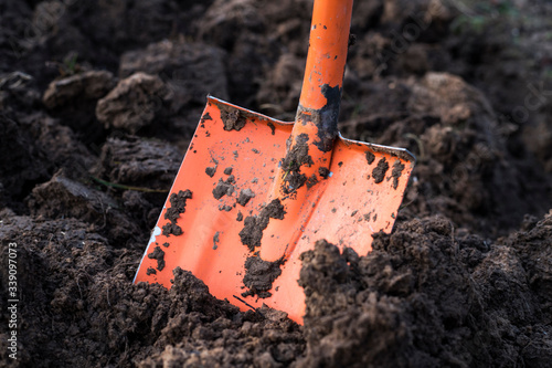 Spade in ground in garden. Orange shovel