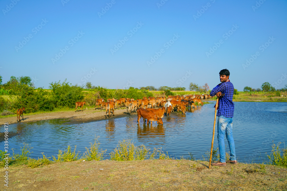 Naklejka premium young indian farmer with his cattle