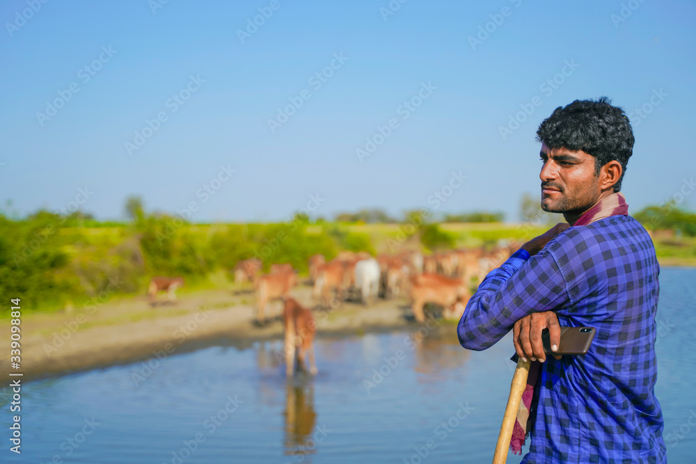 young indian farmer with his cattle young indian farmer with his cattle