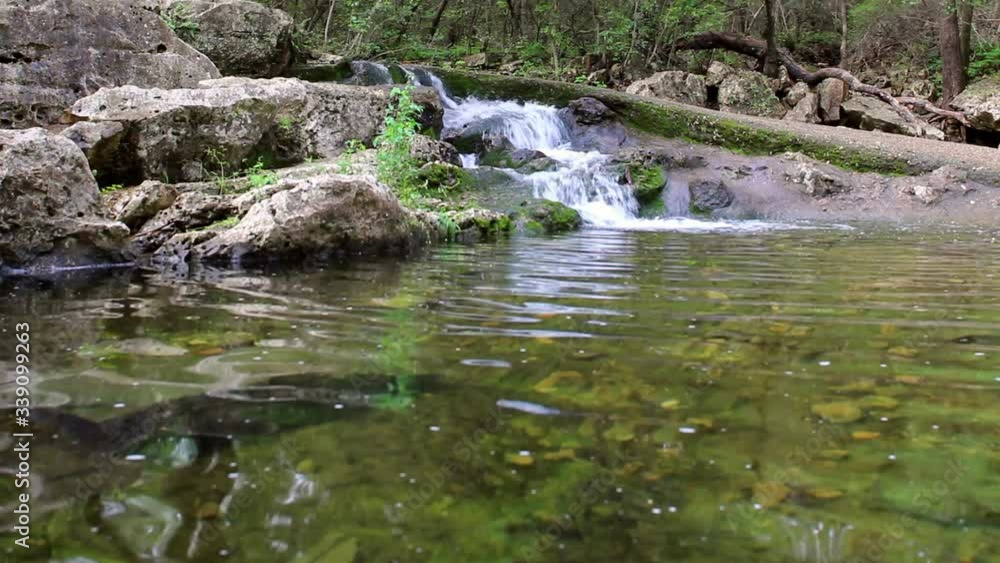 With sped up water, creek waterfall flowing into large pool below. Moss by falls & trees in the background. With water moving faster you can see swirl of the water caused by the current on the falls. With sped up water, creek waterfall flowing into large pool below. Moss by falls & trees in the background. With water moving faster you can see swirl of the water caused by the current on the falls.