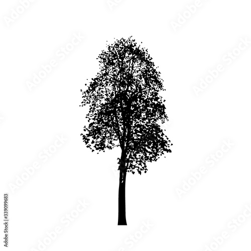 Tree silhouettes on white background. Vector illustration.