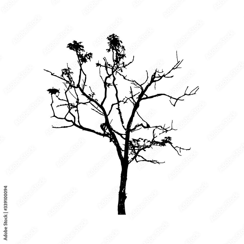 Fototapeta premium Tree silhouettes on white background. Vector illustration.