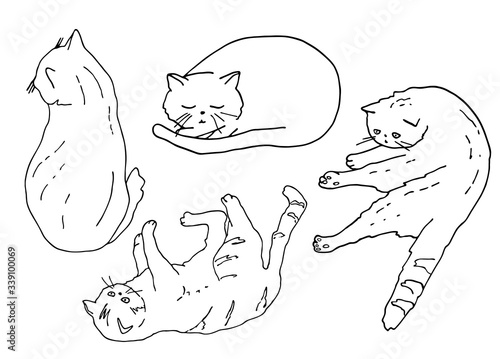 Outline domestic cat in different poses set. Exotic shorthair kitten sitting, playing, sleeping. Hand drawn contour vector illustration for coloring book, decor, card, banner, cattery, pet shop, print