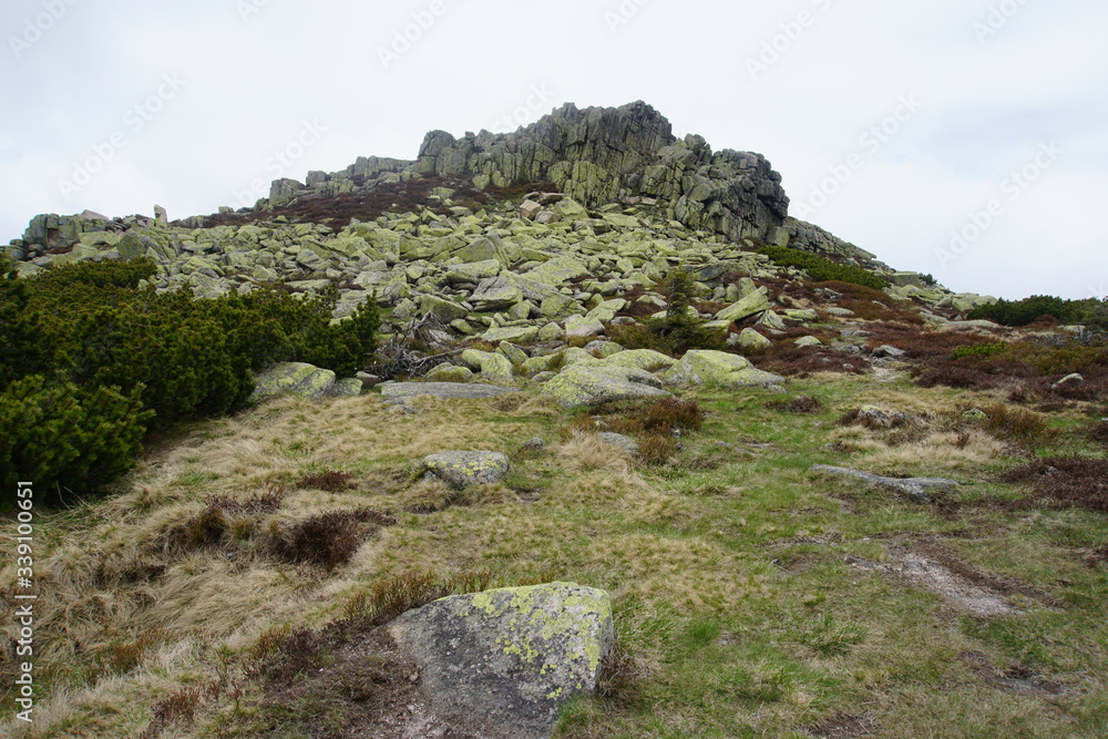 Czeskie Kamienie/Mužské kameny/Bohemian/Czech Rocks in Karkonoski National Park Czeskie Kamienie/Mužské kameny/Bohemian/Czech Rocks in Karkonoski National Park