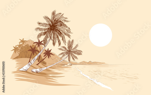 ..Exotic sunny landscape with palm trees by the sea. Vector illustration of the beach. Monochrome vintage image..