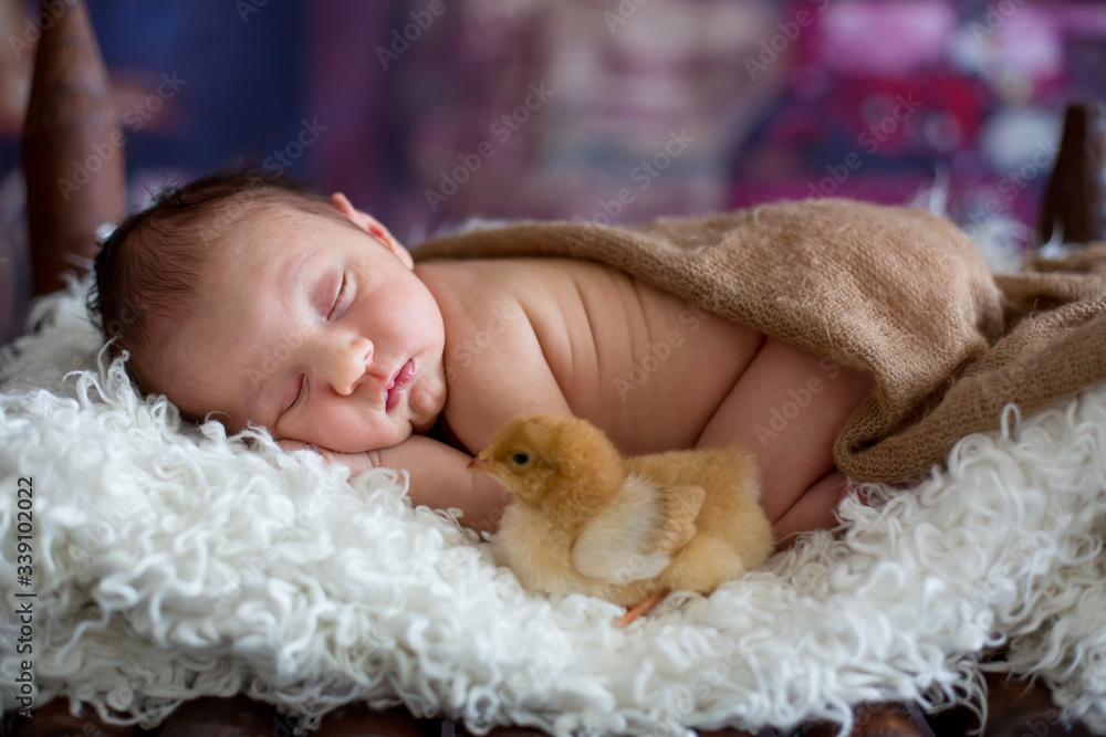 Little newborn baby boy, sleeping in wooden baby bed with little chick Little newborn baby boy, sleeping in wooden baby bed with little chick