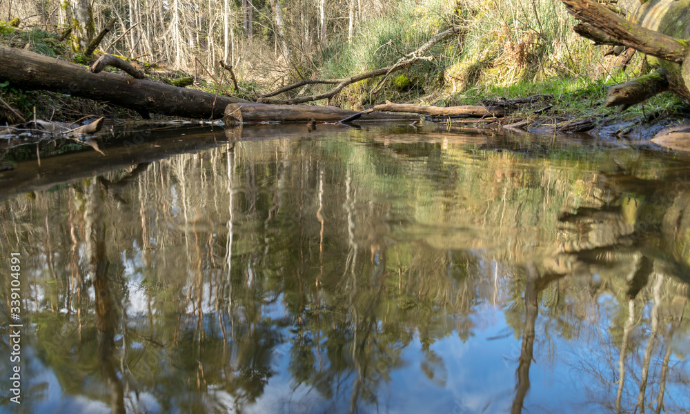 river view in early spring, beautiful cloud reflections in water river view in early spring, beautiful cloud reflections in water