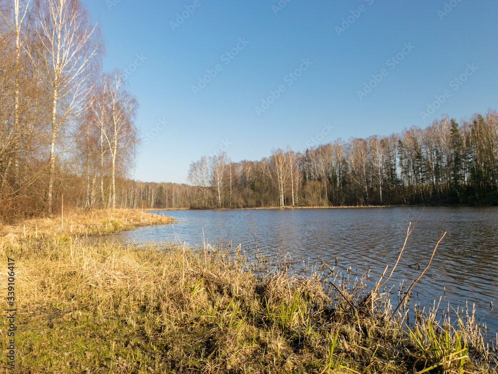 tree reflections in water, early spring landscape tree reflections in water, early spring landscape
