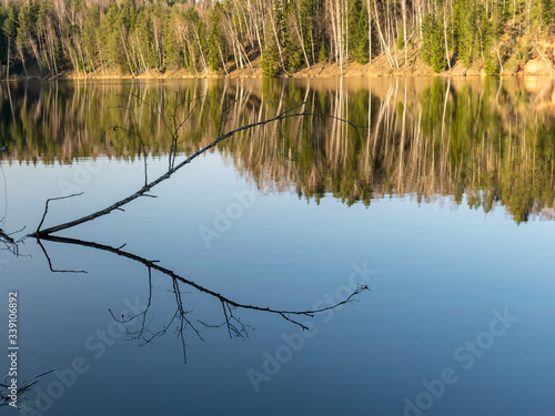 water reflections of trees, early spring landscape, with reflection on mirror water