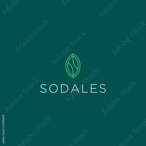 Linear leaf logo design vector template