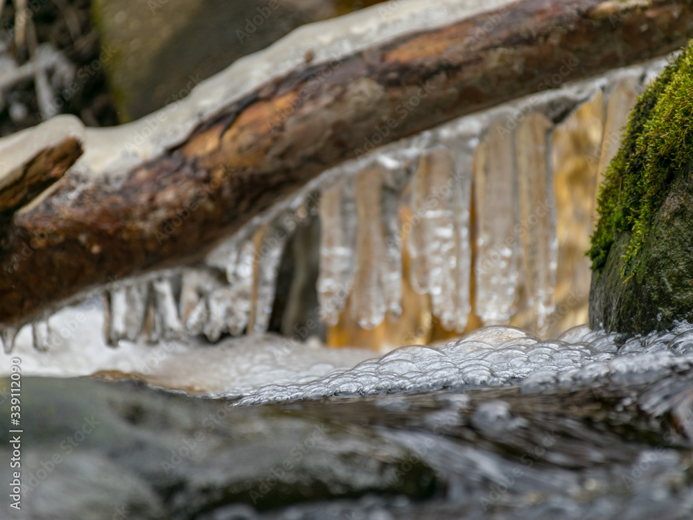 a tree trunk in the foreground and fragments of frozen icicles