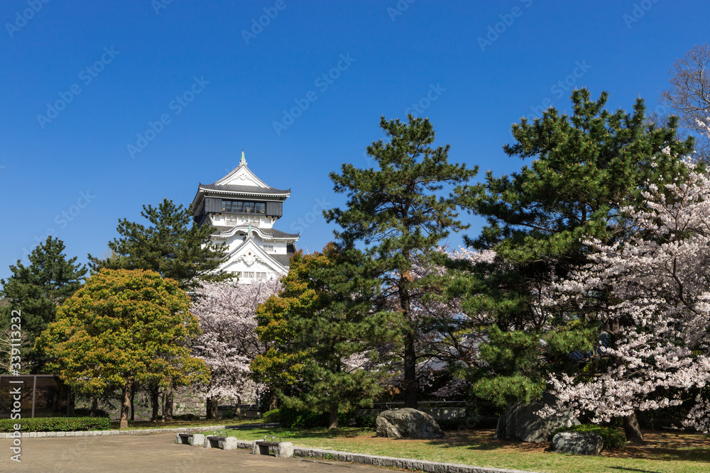 小倉城と桜の風景