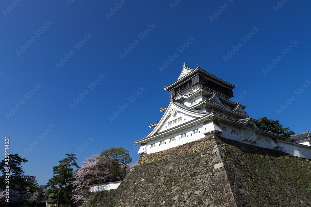 小倉城と桜の風景 小倉城と桜の風景