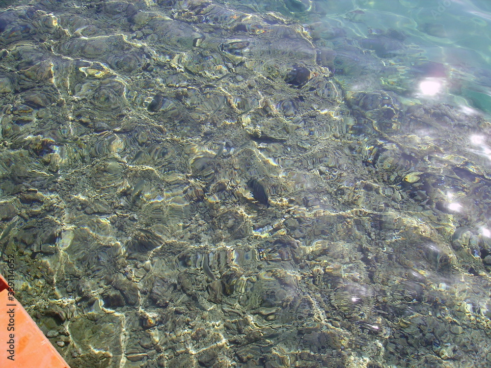 Sea's under water view with a corals