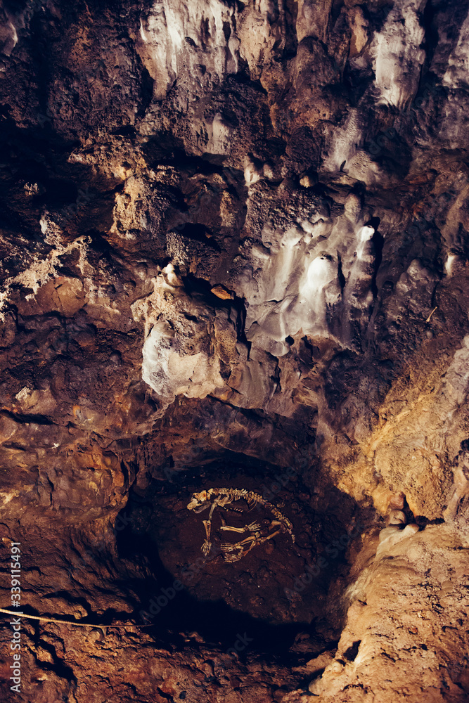 Baraceve Spilje, Croatia. A cave that has the remains of an ancient bear. Baraceve Spilje, Croatia. A cave that has the remains of an ancient bear.