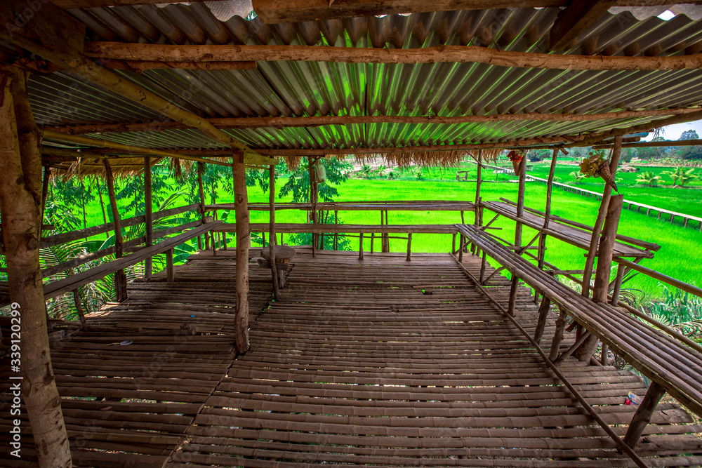 The panoramic nature background of the green field scenery,the long wooden bridge,the wind blowing through many species of leaves blurred,the beauty of the ecosystem