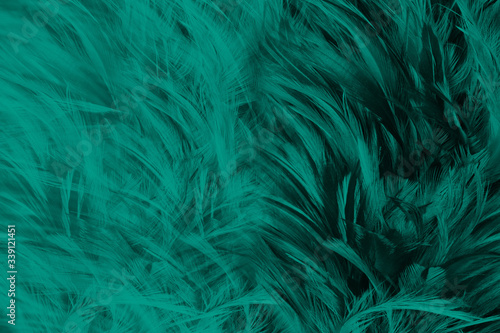 Beautiful dark green viridian vintage color trends feather texture pattern background