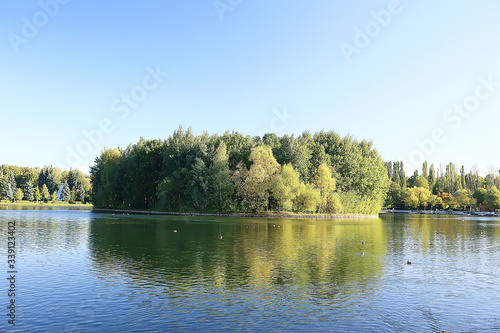 spring forest landscape seasonal / green background trees in the forest, fresh spring sunny landscape in nature, eco concept