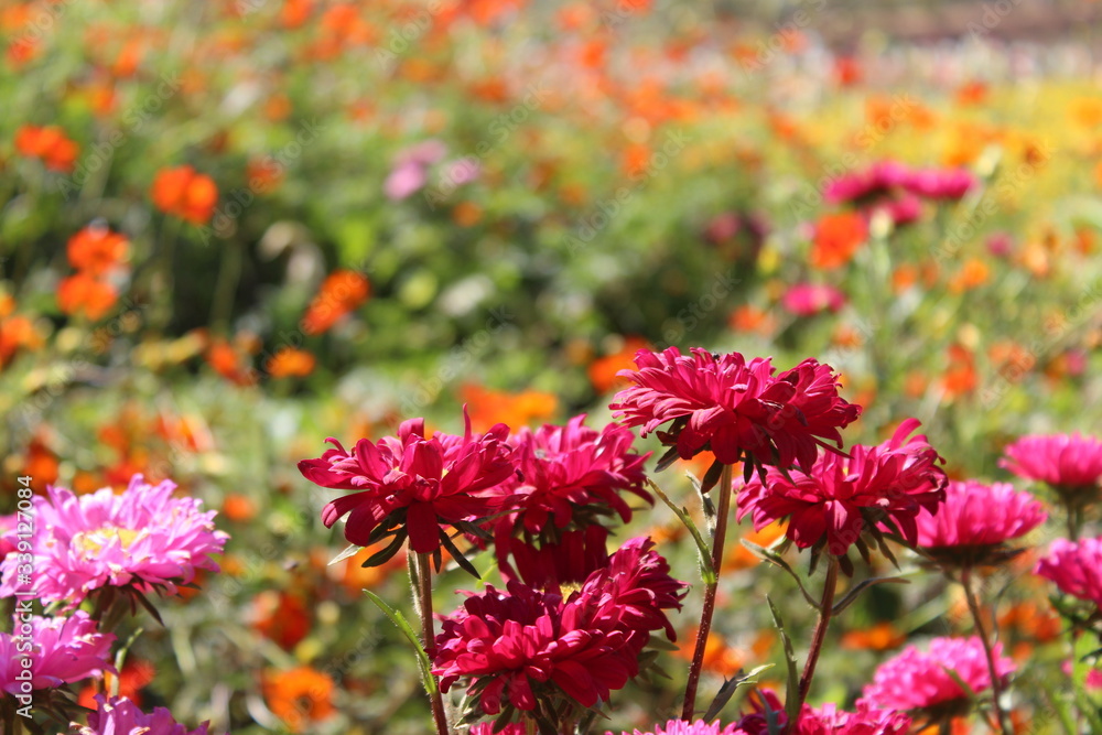 some good scenes created by nature.......capaturing those scenes are joyful.