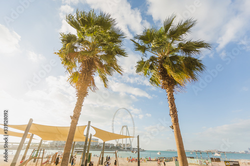 Palm tree and bright sun on blue sky background.