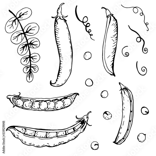 Set of hand drawn green peas.