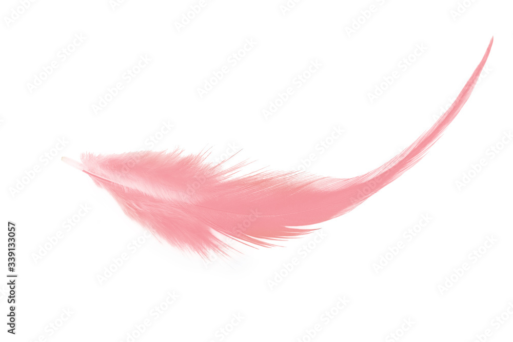 Beautiful light pink feather isolated on white background Beautiful light pink feather isolated on white background