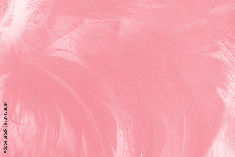 Fototapeta premium Beautiful light pink feather pattern texture background