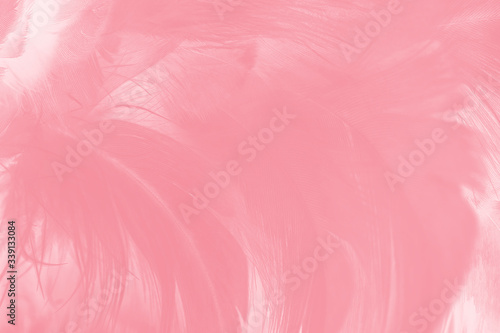 Beautiful light pink feather pattern texture background