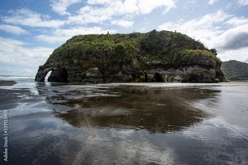 Tree sisters and elephant rock beach, North Island, New Zealand