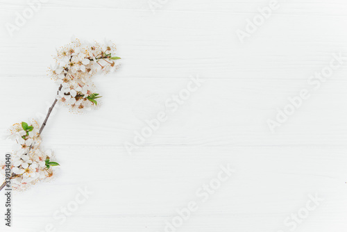 Spring and summer white flowers on vintage wooden background