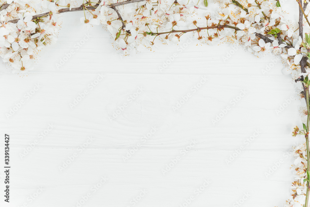 Fototapeta premium cherry blossom spring background, white wood