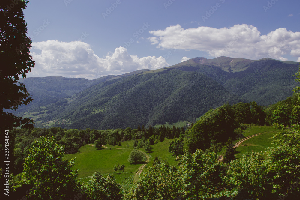 Fototapeta premium beautiful view of the forest, mountains and clouds with a tonal perspective in summer