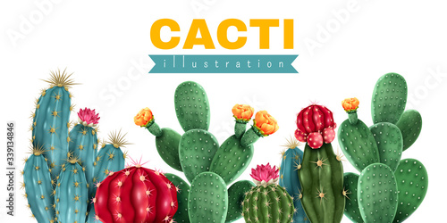 Obraz na płótnie Cacti Colored Background