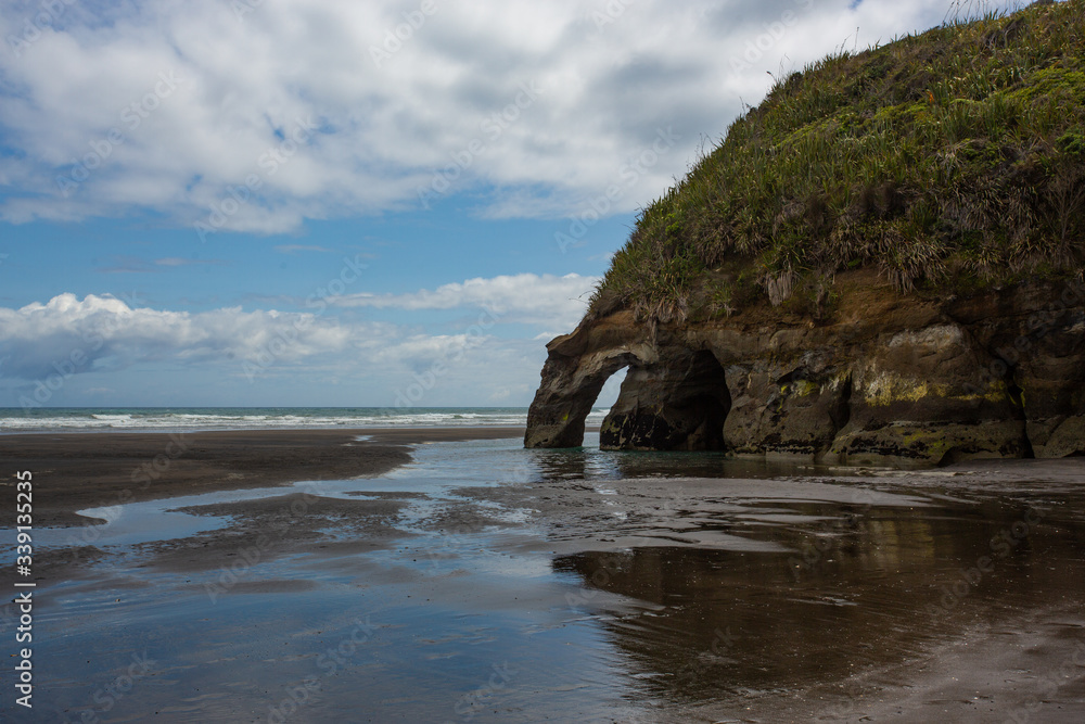 Tree sisters and elephant rock beach, North Island, New Zealand