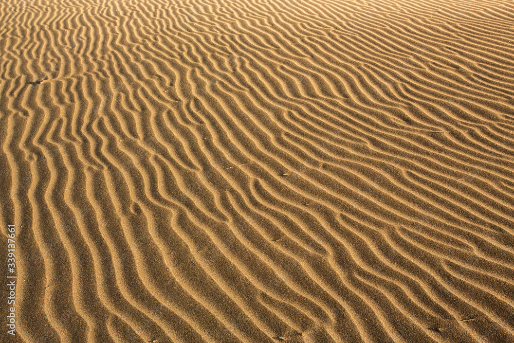Sand dunes on Piha Beach, New Zealand Sand dunes on Piha Beach, New Zealand