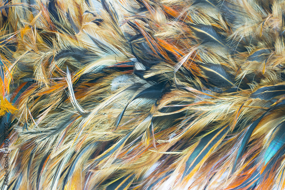 Beautiful brown feather texture pattern background Beautiful brown feather texture pattern background
