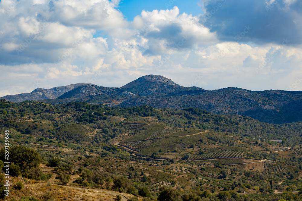 Mountain scenery with olive groves, Crete, Greece