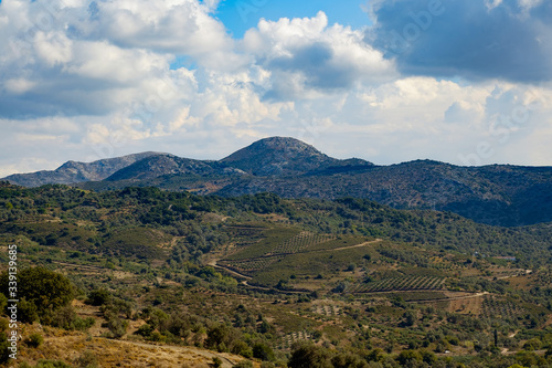 Mountain scenery with olive groves  Crete  Greece