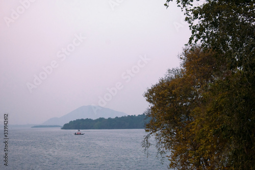 selective focus of a beautiful reddish tree in the foreground with a lake in background