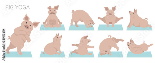 Pig yoga poses and exercises. Cute cartoon clipart set