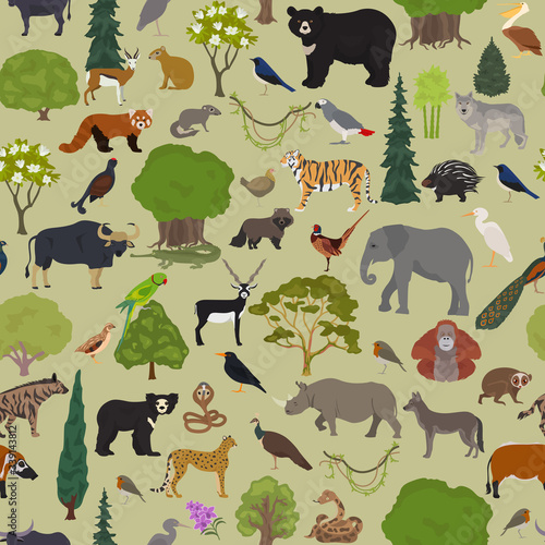 Monsoon forest biome, natural region seamless pattern. Terrestrial ecosystem world map. Animals, birds and vegetations design set