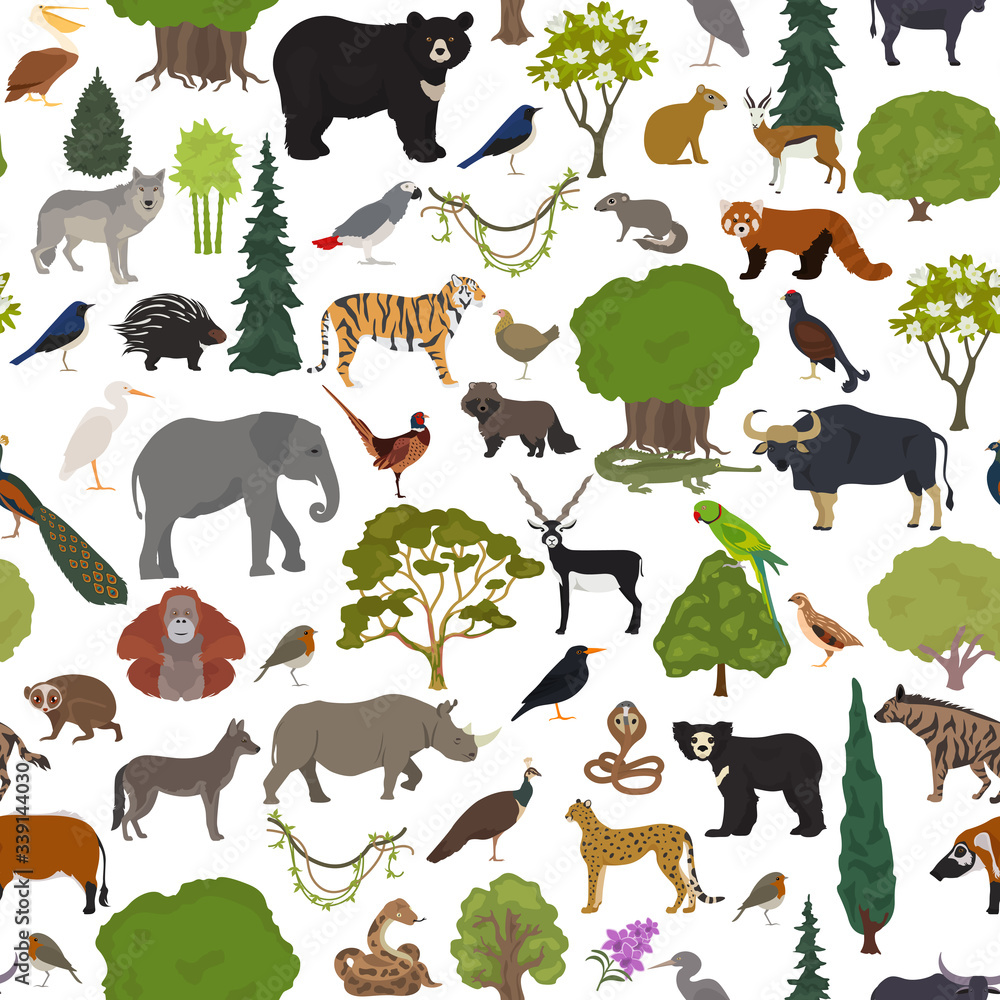 Monsoon forest biome, natural region seamless pattern. Terrestrial
