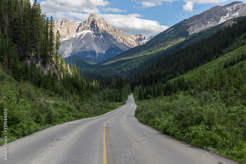 Spectacular road landscapes that run through pine forests and high mountains, Canadian roads with the yellow lines © Eloy