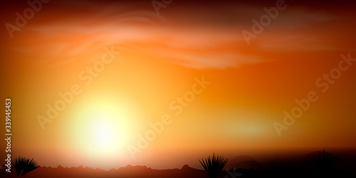 Sunset in the Mexican desert. Silhouettes of stones, cacti and plants. Desert landscape with cacti.