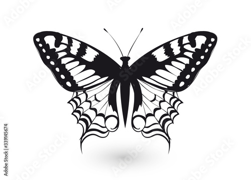 handgezeichneter Schwalbenschwanz Schmetterling schwarz weiß