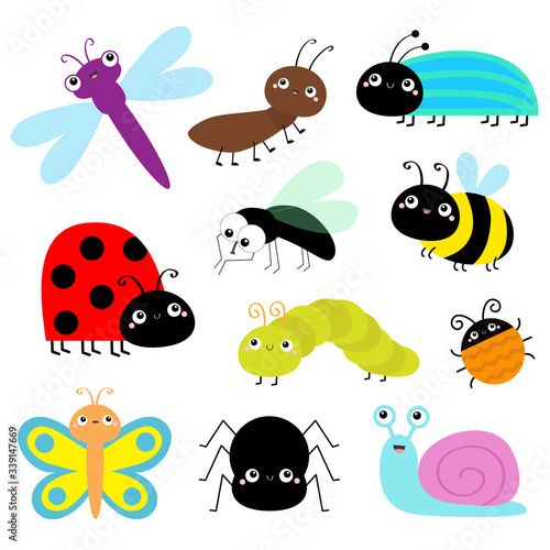 Insect icon set. Lady bug Caterpillar Butterfly Bee Beetle Spider Fly Snail Dragonfly Ant Lady bird. Cute bugs. Cartoon kawaii funny doodle character. Flat design. White background
