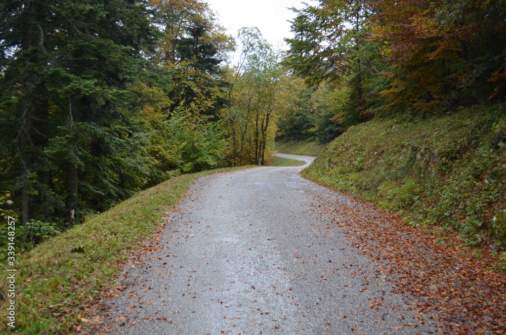 Obraz premium savoie